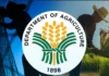 Department of Agricultute, immapela a maaprobaram ti P198.4-B Budget iti Senado iti tengnga ti nakaro a krisis iti Agrikultura
