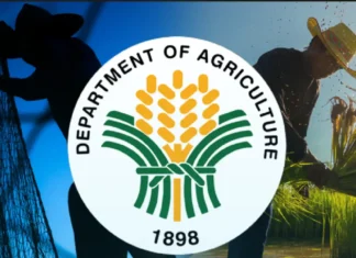 Department of Agricultute, immapela a maaprobaram ti P198.4-B Budget iti Senado iti tengnga ti nakaro a krisis iti Agrikultura