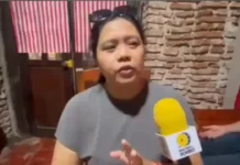City Veterinary Office, binalakadan na ti publiko iti panagannad kontra iti ASF