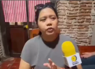 Maysa a taraken nga aso, natay gapu iti heat stroke – City Veterinarian