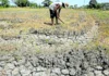 Naapektaran iti very strong El Niño, umaboten iti 500K a Pilipino