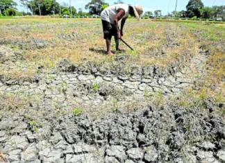 Naapektaran iti very strong El Niño, umaboten iti 500K a Pilipino
