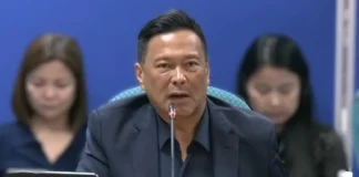 Senator Ejercito, immapela iti Kamara a saan nga ibabawi ti naaprobaran a 2027 Budget Bill