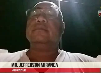 Saan a panangsurot ti executive order mainaig iti presio ti baboy, dakkel problema dagiti hog raisers