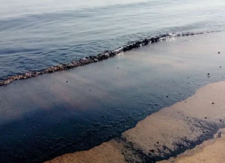 Kabaybayan iti United Arab Emirates, temporario a naipawil kadagiti residente gapu iti oil spill