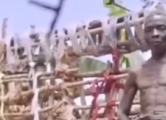 Maysa a lalaki iti Rwanda, nagpupok iti 55 a tawen gapu ta kabutengna ti babbai