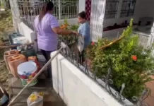 Illegal a droga, nabirokan iti maysa a pribado a kamposanto iti Brgy. 18 San Isidro iti ili ti Sarrat