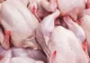 Salmonella iti manok a nairekord iti Metro Manila, resistant iti antibiotics, segun iti panagadal