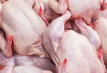 Salmonella iti manok a nairekord iti Metro Manila, resistant iti antibiotics, segun iti panagadal