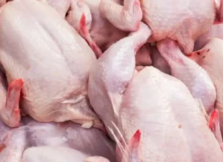 Salmonella iti manok a nairekord iti Metro Manila, resistant iti antibiotics, segun iti panagadal