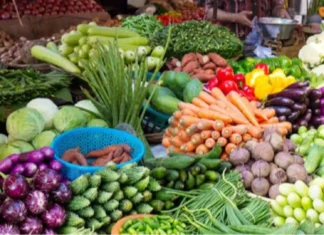Provincial Agriculture Office, inbalakad na nga agmula laengen dagiti mannalon ti nateng imbes a pagay iti panawen ti El Niño