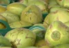 Panagipatulod ti 32,000 a buko idiay Liberia, possible a mangilukat ti baro nga export market