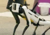 Maysa a kompanya idiay San Francisco, mangididiaya ti pannagna kadwa ti robot nga aso kasukat ti tandan a $20 iti kada oras