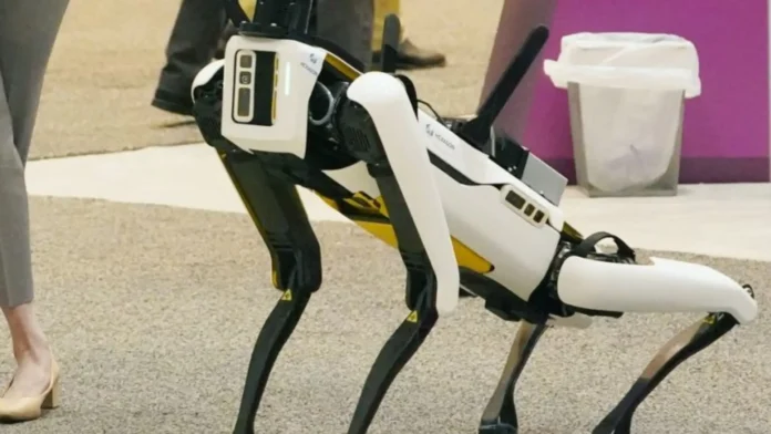robot-dog