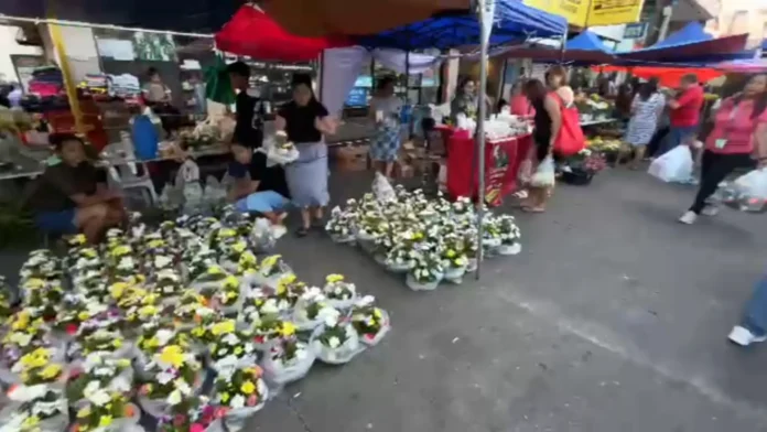 sabong-undas