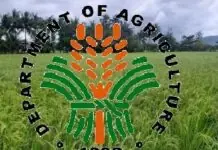 DBM, kinissyan ti proposed budget iti Department of Agriculture ti agarop P300 billion