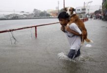 PETA, ummapela nga iraman iti panagbakwit dagiti alaga nga ayup