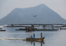 Tulang dagiti ‘missing sabungeros,’ mabalin pay nga maadal uray uppat a tawen dan idiay Taal Lake – DOST