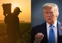 Trump, silulukat nga agtalinaed dagiti migrant workers iti US farm