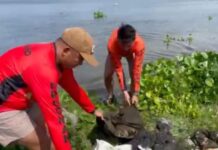 Dagiti sako a nakita idiay Taal Lake, posible a saan a tulang ti tao ti karga da