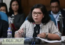 ERC Chair Monalisa Dimalanta, naglosolosen iti puesto