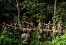 PBBM, imbida nga awanen iti nabatbati pay a puersa guerilla ditoy pagilian