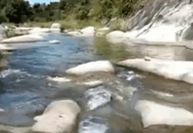 Tallo nga agtutubo, nalmes iti karayan idiay Tubao, La Union