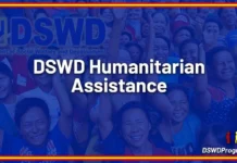 P4.1-M nga ayuda, inwaras ti DSWD kadagiti apektado ti didigra