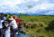 Rice Tariffication Law, panggep nga iparepaso ni Senador Tulfo