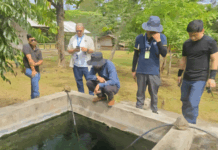 DOE, nakakita ti potensyal a native hydrogen idiay Palawan
