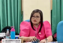 Deliberasyon ti impeachment complaints vs PBBM, mairugin inton sumaruno a bulan – Rep. Luistro