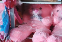 Demand dagiti stuff toys ken dadduma pay a gift items, namnamaen a ngumato ita nga bulan ti Pebrero