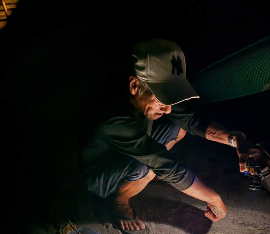 Panawen iti Panagitlog dagiti Pawikan ditoy Probinsya ti La Union, Nangrugin