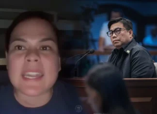 NBI Dir. Matibag, adda bwelta na kalpasan nga imbilang a ‘nobody’ ni Vice President Sara Duterte