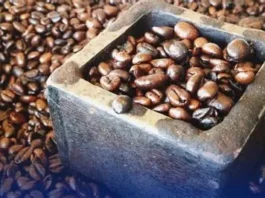 Philippine coffee, naitampok idiay Japan tapnu maipakaamammo iti international market