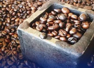 Philippine coffee, naitampok idiay Japan tapnu maipakaamammo iti international market