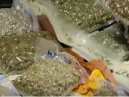 Babai a Thai national, nasentensiaan ti tungpal-biag a pannakaibalud gapu iti panagpuslit ti ilegal a droga ditoy Pilipinas