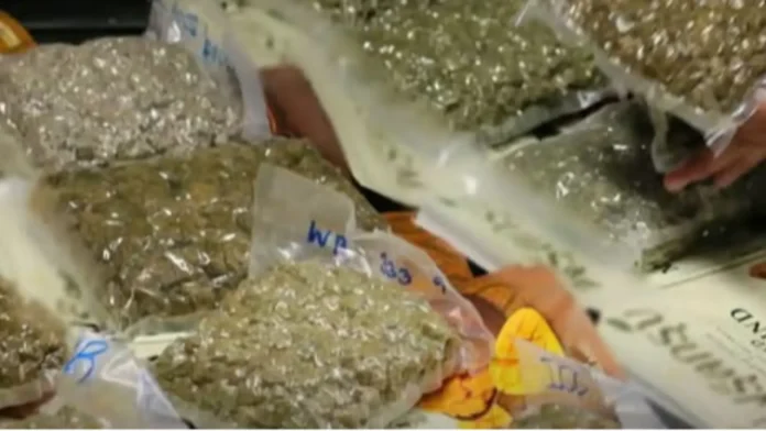 babai-thai-national-nasentensiaan-ti-tungpal-biag-pannakaibalud-gapu-iti-panagpuslit-ti-ilegal-droga-ditoy-pilipinas