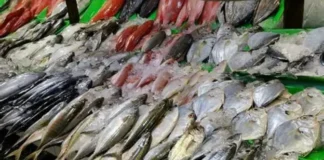 DA, Pabor iti Calamity Declaration para iti Agresibo a panagsungbat iti El Niño