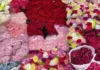 Presyo dagiti sabong idiay Dangwa, dimmoble bayat nga umadanin ti Undas; Rajan ken Orchid, kangrunaan a gat-gatangen