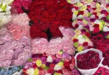 Presyo dagiti sabong idiay Dangwa, dimmoble bayat nga umadanin ti Undas; Rajan ken Orchid, kangrunaan a gat-gatangen