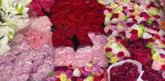 Presyo dagiti sabong idiay Dangwa, dimmoble bayat nga umadanin ti Undas; Rajan ken Orchid, kangrunaan a gat-gatangen