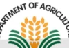 DA, inapreciar na iti suspensyon ti Ombudsman kadagiti 3 DPWH officials seknan iti maipagarop a P94-M ghost farm-to-market roads