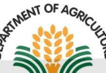 DA, inapreciar na iti suspensyon ti Ombudsman kadagiti 3 DPWH officials seknan iti maipagarop a P94-M ghost farm-to-market roads