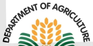 DA, inapreciar na iti suspensyon ti Ombudsman kadagiti 3 DPWH officials seknan iti maipagarop a P94-M ghost farm-to-market roads