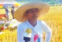 Dagiti mannalon ditoy siyudad ti San Fernando, agpanpanawagan a maipaayanda ti solar-powered water pump