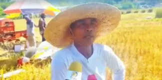 Dagiti mannalon ditoy siyudad ti San Fernando, agpanpanawagan a maipaayanda ti solar-powered water pump