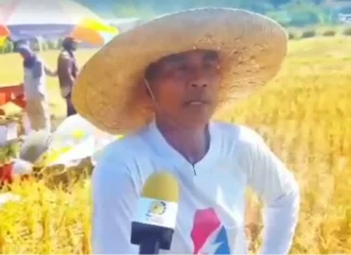 Dagiti mannalon ditoy siyudad ti San Fernando, agpanpanawagan a maipaayanda ti solar-powered water pump
