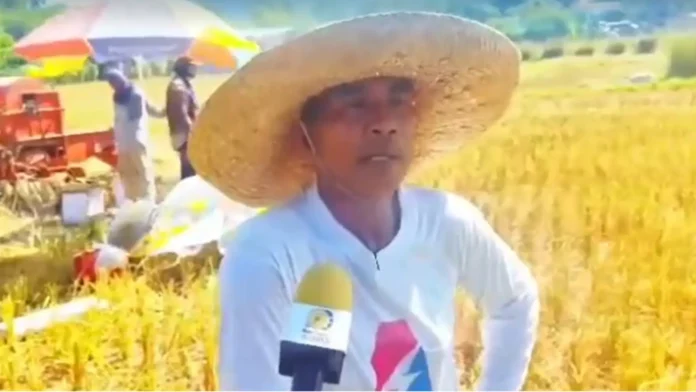 farmer