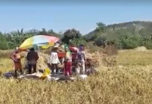 Kinakurang ti danum ita a tiempo ti El Niño, agtaltalinaed a karit kadagiti mannalon ditoy probinsiya ti La Union